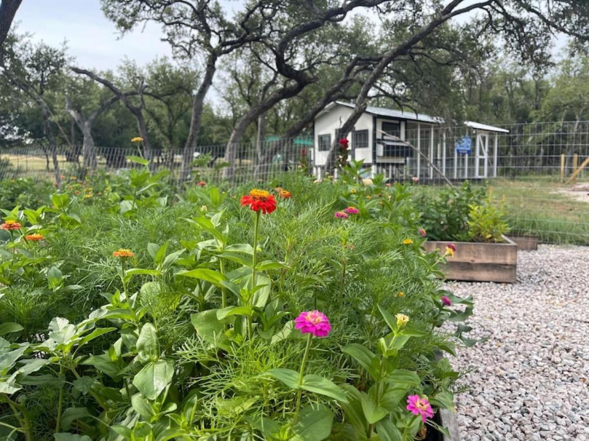 Anderson Cottage At Wrenwood Ranch, King Bed, Walking Distance To The Winery Johnson City Exterior foto